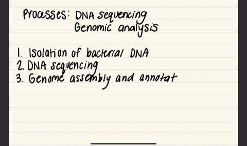 what-process-was-used-to-identify-the-genetic-composition-of-syphilis-and-how-has-this-information-been-used-to-identify-treatments