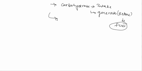 in-order-to-adapt-to-low-carbohydrate-intake-the-body-generates-ketones-which-can-be-used-a5-an-emergency-fuel-particularly-tor-the-brain-which-prefers-ucose_-which-of-the-following-characte-21046