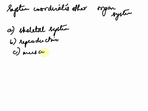 the-system-that-coordinates-other-organ-systems-is-the-a-skeletal-system-b-reproductive-system-c-m-2-42357