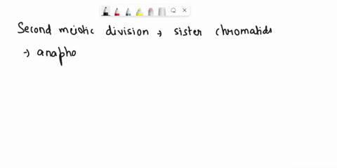 an-organism-has-a-diploid-number-of-16-in-a-primary-oocyte-how-many-tetrads-are-present-in-the-seond-meiotic-prophase-how-many-chromosomes-are-present-in-the-seond-meiotic-prophase-how-many-31852