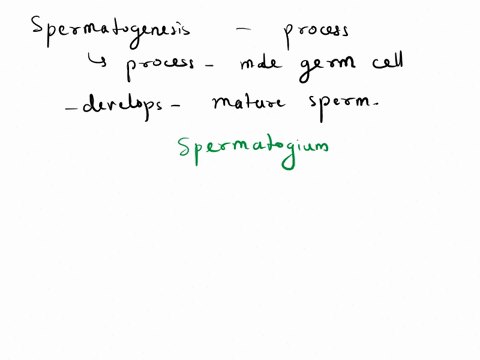 what-is-spermatogenesis-briefly-describe-the-process-of-spermatogenesis-20002