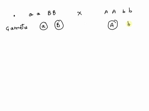 consider-two-independently-assorting-genes-that-both-produce-the-same-phenotype-in-the-homozygous-recessive-state-you-cross-two-such-individuals-aabb-x-aabb-what-phenotypes-would-you-expect-51738