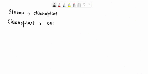 the-membrane-structure-that-has-embedded-phctosynthetic-pigments-in-plant-cells-15-he-stroma-chloroplast-thylakoid-chlorophyll-branum-26384