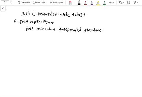after-dna-replication-how-many-copies-of-this-double-stranded-sequence-would-exist-in-a-cell-86625
