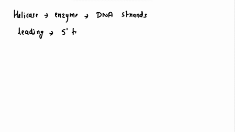 microflix-activity-dna-replication-dna-replication-diagram-part-a-dna-replication-drag-the-labels-onto-the-diagram-to-identify-the-components-of-replicating-dna-strands-view-available-hints-35975