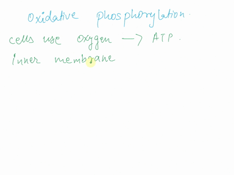 where-can-oxidative-phosphorylation-take-place-in-living-organisms-select-all-that-apply-oa-inner-membrane-of-mitochondrion-mitochondrial-matrix-c-cristae-d-cytoplasm-oe-plasma-membrane-35672
