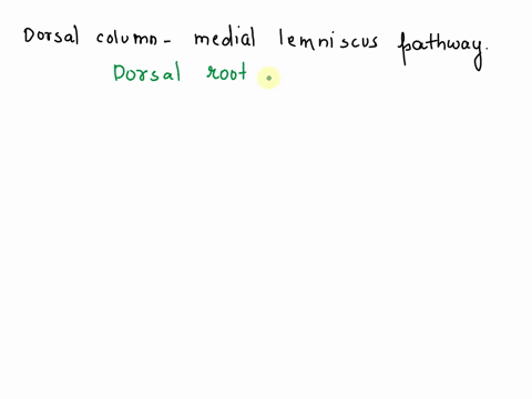 is-this-correct-the-dorsal-column-medial-lemniscus-pathway-starts-with-dorsal-root-ganglion-then-has-a-frst-level-neuron-in-the-dorsal-root-ganglion-before-it-ascends-ipsilaterally-in-the-sp-68915