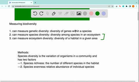 which-of-the-following-are-used-to-measure-biodiversity-in-an-ecosystem-group-of-answer-choices-lifespan-species-richness-relative-species-abundance-both-relative-species-abundance-and-speci-55663
