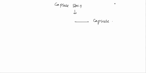 in-a-capsule-stain-the-should-penetrate-the-capsule-but-the-does-not-as-a-result-the-bacterial-cell-is-color-and-the-capsule-looks-color-and-the-background-is-70595