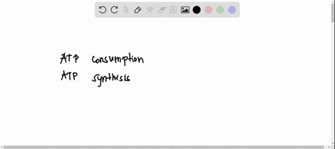 identify-which-reactions-in-glycolysis-the-following-functions-occur-atp-consumption-atp-synthesis-nadh-synthesis-57755
