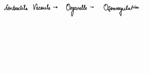 explain-the-function-of-the-contractile-vacuole-in-fresh-water-protists-63753