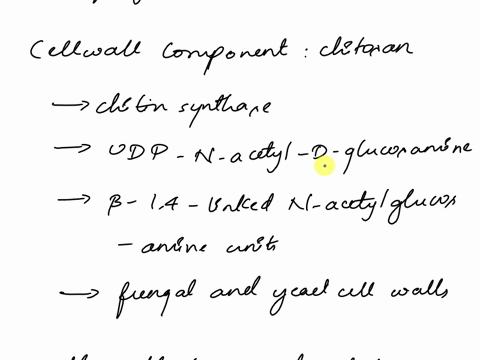 eq4my-34-fill-in-the-blanks-with-deemed-appropriate-12pts-cell-wall-component-enzyme-for-svnthesis-substrate-name-chemical-structure-polymer-structure-glucan-ioi-glucore-1-3-betei-9ncuseluse-88978