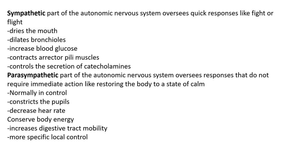 SOLVED Nervous System ANS The Table Below Lists The General Functions