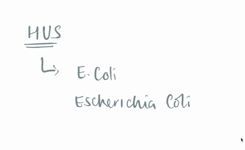 a-patient-is-exhibiting-hemolytic-uremic-syndrome-hus-after-experiencing-diarrhea-and-fever-the-group-of-pathogenic-e-coli-most-likely-responsible-for-this-is-____-27424