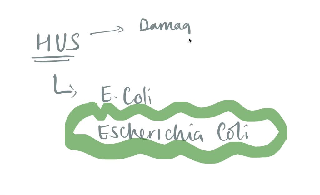 SOLVED: You have a patient with severe sepsis and prolonged diarrhea ...