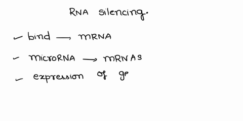 in-rna-silencing-sirnas-and-mirnas-usually-bind-to-which-part-of-the-mrna-molecules-that-they-control-a-5-utr-b-coding-region-c-3-polya-tail-d-3-utr-71417
