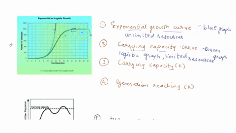 name-population-ecology-graph-worksheet-directions-look-at-the-graphs-below-and-answer-the-following-questions-graphs-exponential-growth-and-carrying-capacity-exponentlal-va-logiatic-growth-34837