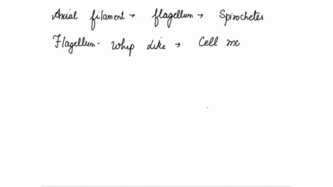 which-of-the-following-structures-is-not-found-in-some-prokaryotic-cells-a-axial-filament-b-flagellum-c-pilus-d-cilium-e-peritrichous-flagella-87022