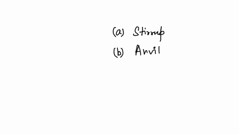 which-of-the-following-is-located-on-the-tips-of-hair-cells-in-the-inner-ear-65453