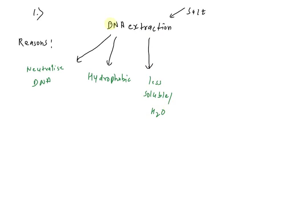 SOLVED 1. Salt is added to sample for DNA extraction for two reasons