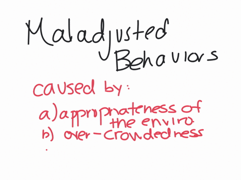 maladjusted-behaviors-are-caused-by-the-following-a-appropriateness-of-the-environment-b-over-crowdedness-c-good-learning-environment-d-lack-of-space-to-operate-from