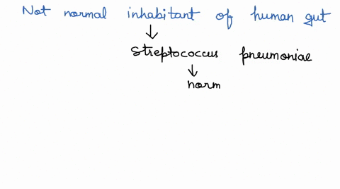 which-of-the-following-is-not-a-normal-inhabitant-of-the-human-gut-a-klebsiella-pneumoniae-b-streptococcus-pneumoniae-c-e-coli-d-proteus-mirabilis-59454