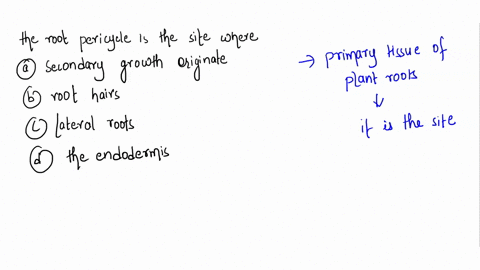 the-root-pericycle-is-the-site-where-a-secondary-growth-originates-b-root-hairs-originate-c-lateral-51691