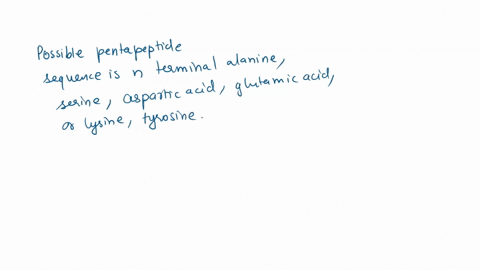 amino-acid-molecular-weight-alanine-arginine-aspaltic-acid-glutamic-acid-glycine-lysine-proline-serine-tyrosine-valine-89-174-133-146-75-146-115-105-181-117-137-194-425-105-384-340-619-146-4-00258