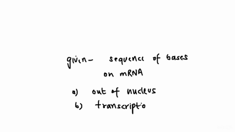 beginning-at-the-tac-end-of-dna-strand-i-construct-the-mrna-according-to-the-dna-rna-base-pairing-rules-dna-strand-i-is-called-the-template-strand-rna-polymerase-transcribes-the-message-from-47852