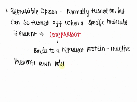 describe-the-differences-in-gene-expression-control-between-a-repressible-and-an-inducible-bacterial-operon-12337