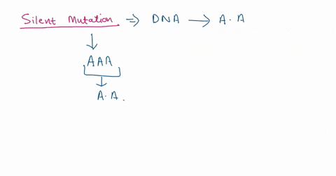 some-mutations-are-silent-meaning-they-have-no-effect-on-the-protein-for-which-the-gene-codes-even-in-homozygotes-how-can-this-be-several-ways-actually-think-about-how-each-of-these-relate-t-70057