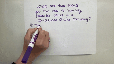 question-10-what-are-2-tools-you-can-use-to-identify-possible-issues-in-a-quickbooks-online-company-transaction-journal-report-verify-data-tool