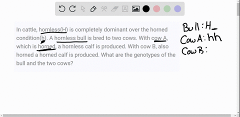 in-cattle-hornlessh-is-completely-dominant-over-the-horned-conditionh-a-hornless-bull-is-bred-to-two-cows-with-cow-a-which-is-horned-a-hornless-calf-is-produced-with-cow-b-also-horned-a-horn-63616