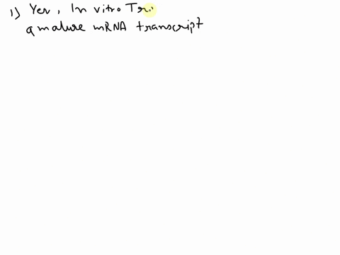 it-is-possible-to-synthesize-proteins-in-vitro-in-a-test-tube-without-the-use-of-living-cells-if-starting-from-a-mature-mrna-transcript-which-of-the-following-components-would-not-be-needed-59648