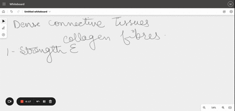 what-are-the-functions-of-dense-connective-tissue-72193