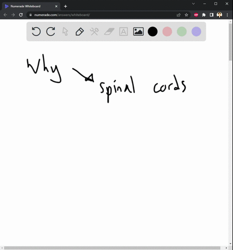 why-do-the-spinal-cords-repair-themselves-38073
