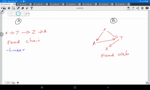 differentiate-between-food-chain-and-food-web-92417