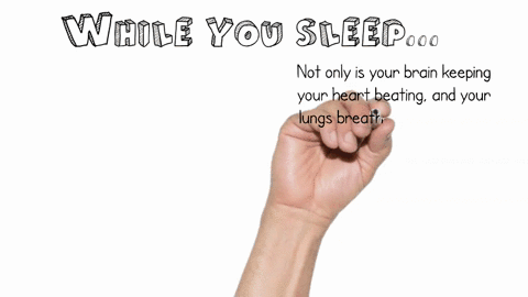 a-great-deal-of-neural-activity-goes-on-during-sleep-true-or-false-39407