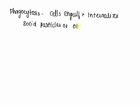 one-way-bacteria-can-transport-nutrients-inside-is-by-phagocytosis-group-of-answer-choices-a-true-b-false-79744
