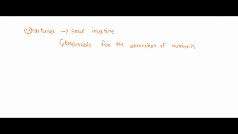 what-structures-in-the-small-intestine-are-responsible-for-the-absorption-of-nutrients-71133
