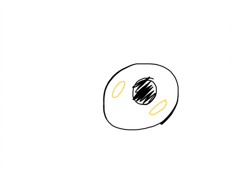 the-outer-most-layer-of-an-animal-cell-that-encloses-the-entire-cells-is-the-_________________-group-of-answer-choices-nuclear-envelope-endoplasmic-reticulum-plasma-membrane-cell-wall