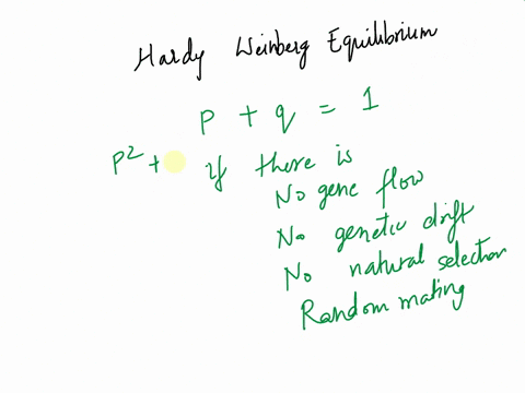 question-31-mandatory-1-point-which-of-these-conditions-is-required-for-population-to-be-in-hardy-weinberg-equilibrium-no-gene-flow-random-mating-no-natural-selection-all-of-the-above-questi-99498
