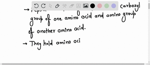 which-of-the-following-statements-conceming-peptide-bonds-is-false-their-formation-involves-reaction-between-an-amino-group-and-carboxyl-group-they-are-the-primary-bonds-that-hold-amino-acid-21504