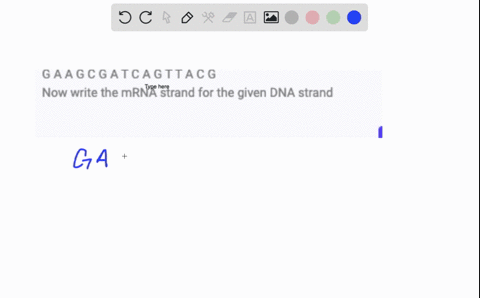 g-a-a-g-c-g-a-t-c-a-g-t-t-a-c-g-now-write-the-mrna-strand-for-the-given-dna-strand-35862