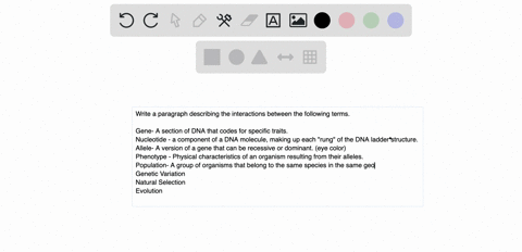 write-a-paragraph-that-describes-the-connections-among-the-following-terms-gene-nucleotide-allele-ph-45855