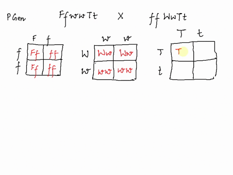 ih-lqi-h-1-f-1-j-i-1-1-2-48716