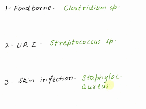 name-a-bacteria-for-each-category-and-describe-where-each-comes-from-and-what-symptoms-they-cause-that-can-cause-1-foodborne-illness-2-upper-respiratory-tract-infection-3-skin-infection-55866