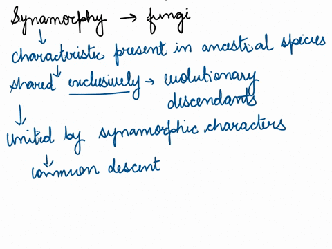 which-of-the-features-listed-below-are-a-synapomorphy-of-fungi-mitochondria-mycelium-heterotrophic-respiration-chitin-single-posterior-flagellum-absorptive-heterotrophy-58062