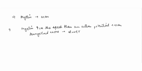 how-does-myelin-around-an-axon-affect-the-action-potential-myelin-does-not-affect-the-rate-or-the-speed-of-an-action-influenced-by-other-axons-potential-all-it-does-is-insulate-the-axon-from-62186