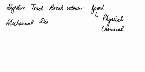 chemical-and-mechanical-digestion-begins-in-the-a-stomach-b-pharynx-c-esophagus-d-mouth-48772